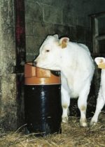 Vyhrievaná napájačka LAKCHO 50 W / 24 V pre hovädzí dobytok a kone – Obrázok 3